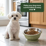 Tilted Dog bowl