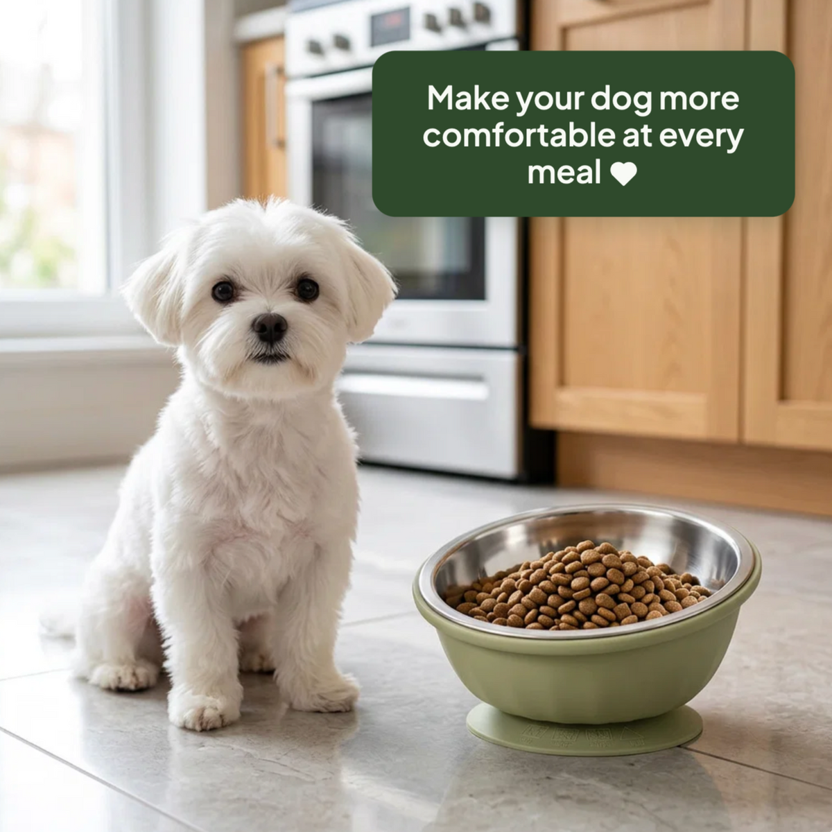 Tilted Dog bowl